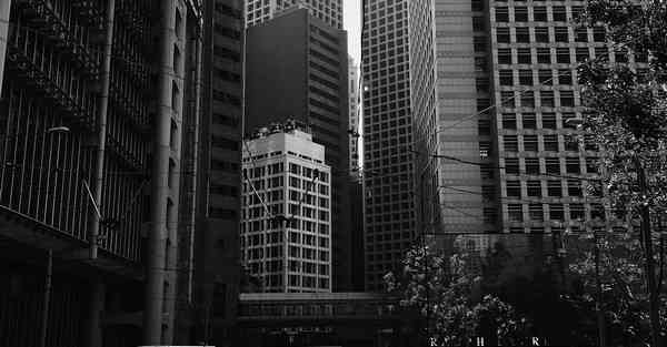 读书活动摄影活动