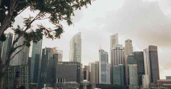 男士马甲秋冬款保暖抗寒_男士马甲秋冬款保暖