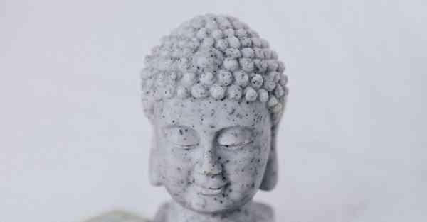 摄影社团 活动记录_摄影社团活动记录表