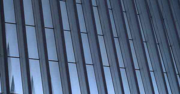 公司春日摄影活动